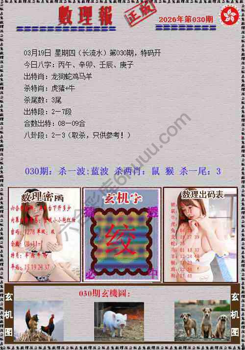 数理报