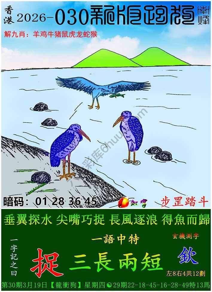 跑狗图（新版）