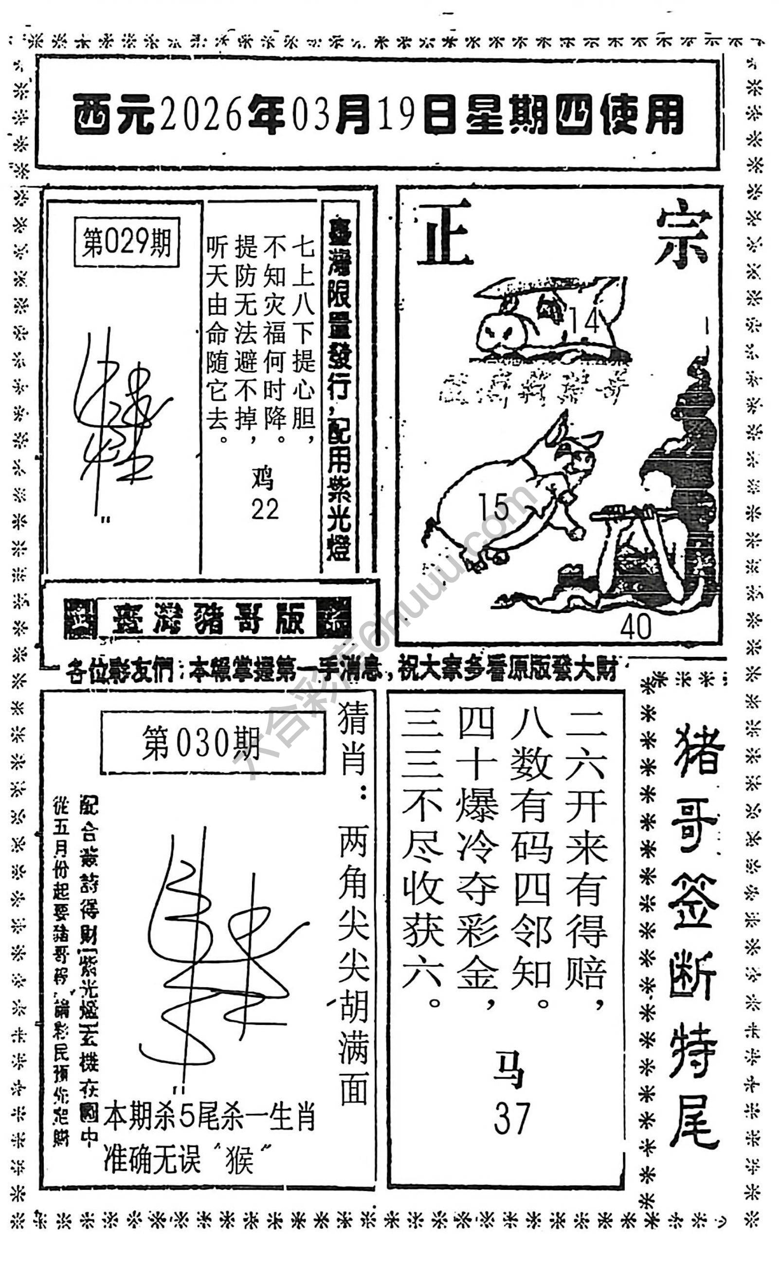 猪哥签断特尾