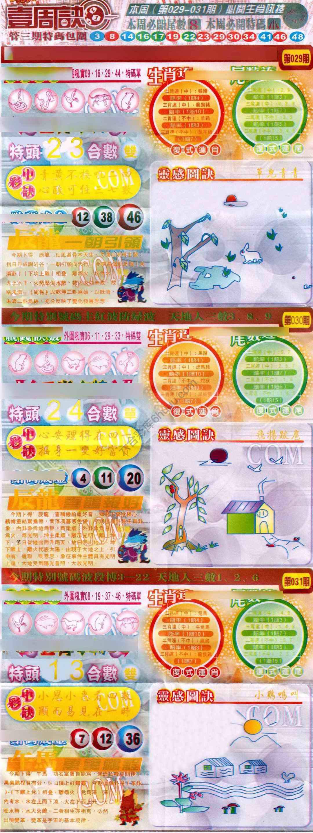 一周决