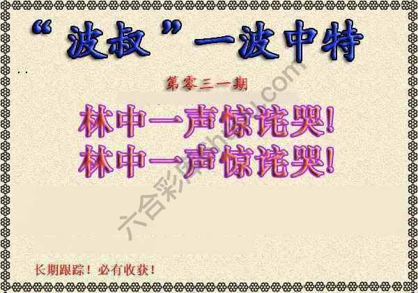 波叔一波中特