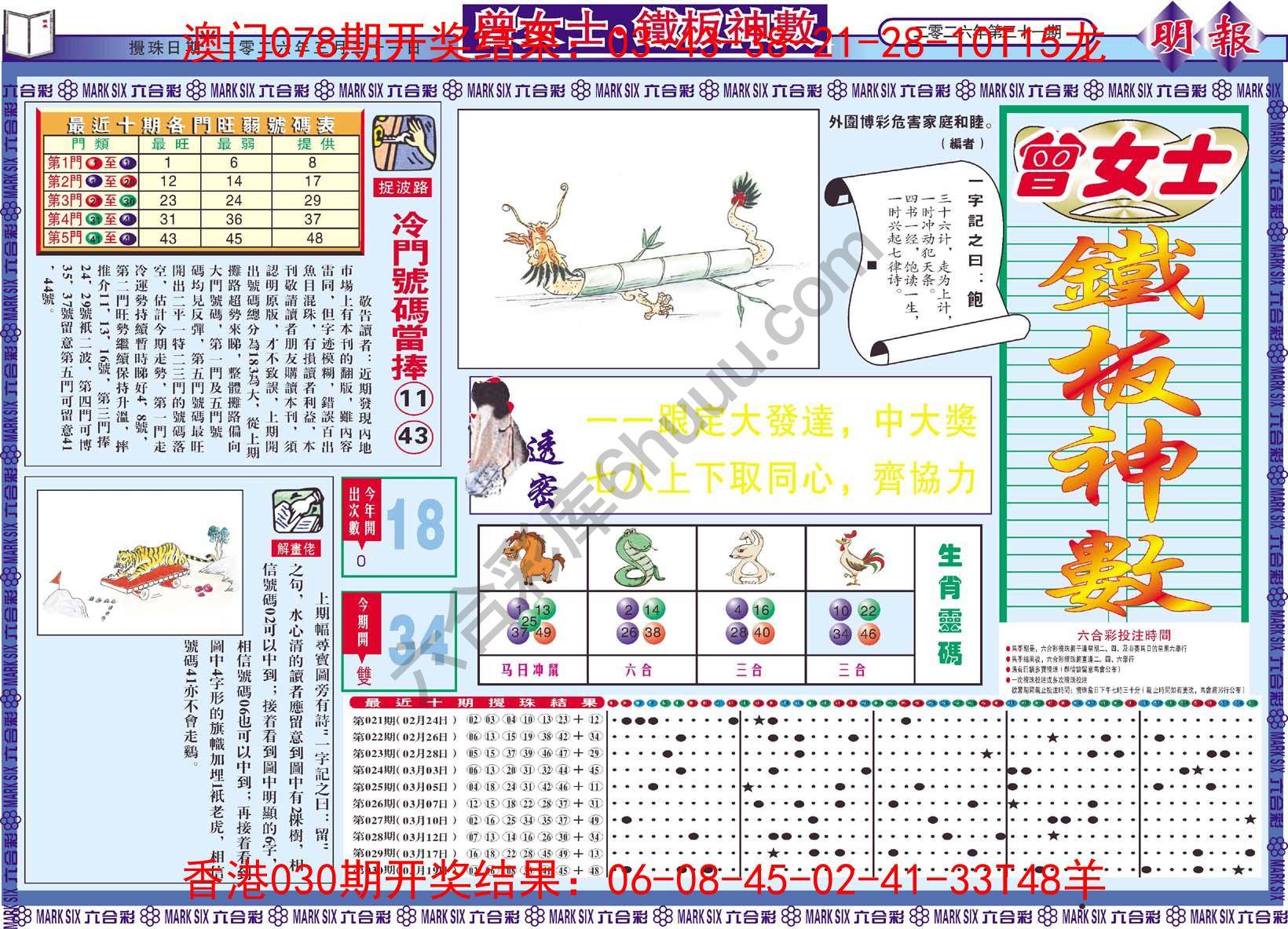 曾女士铁板神数