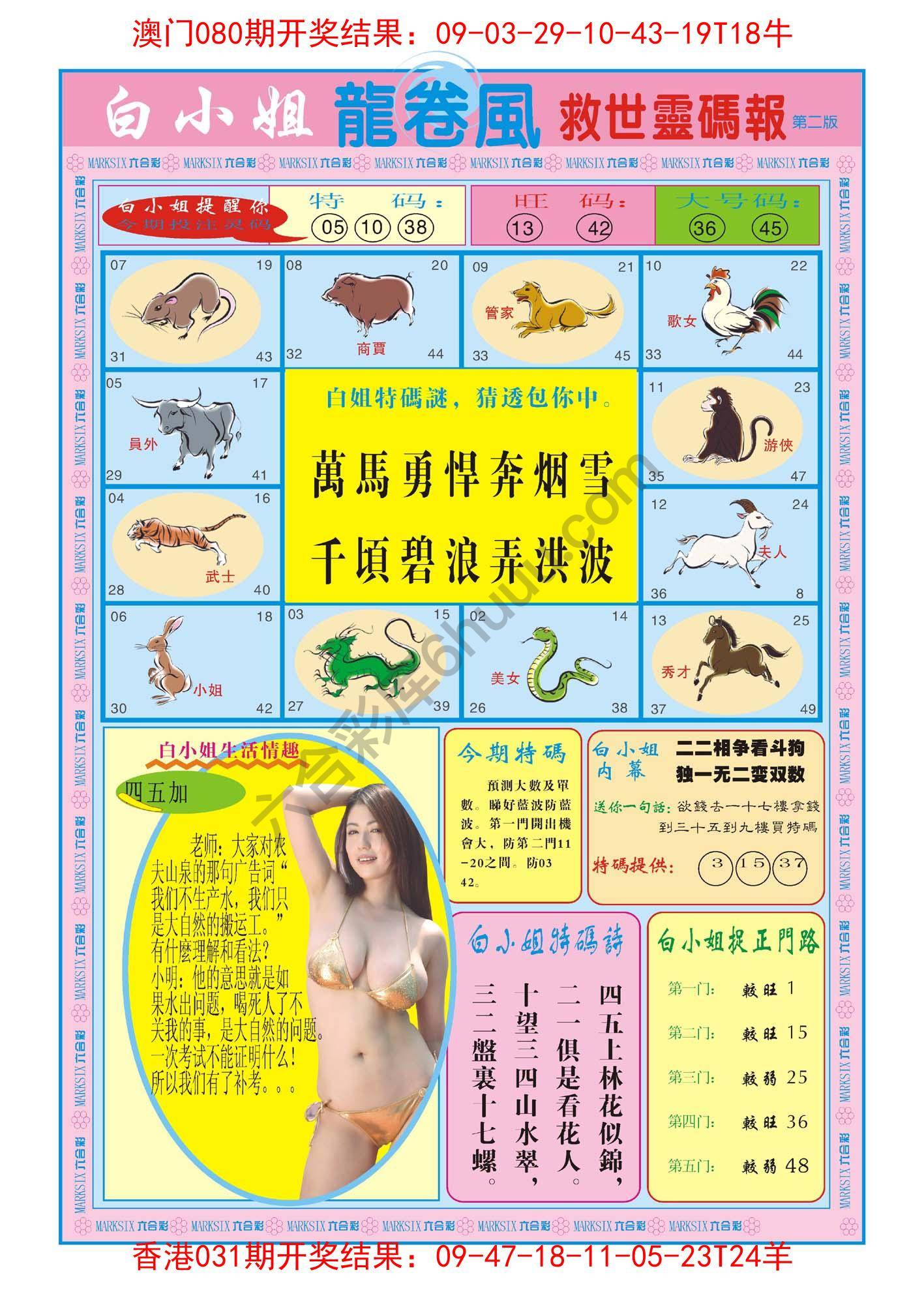 白小姐救世灵码报