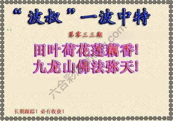 波叔一波中特