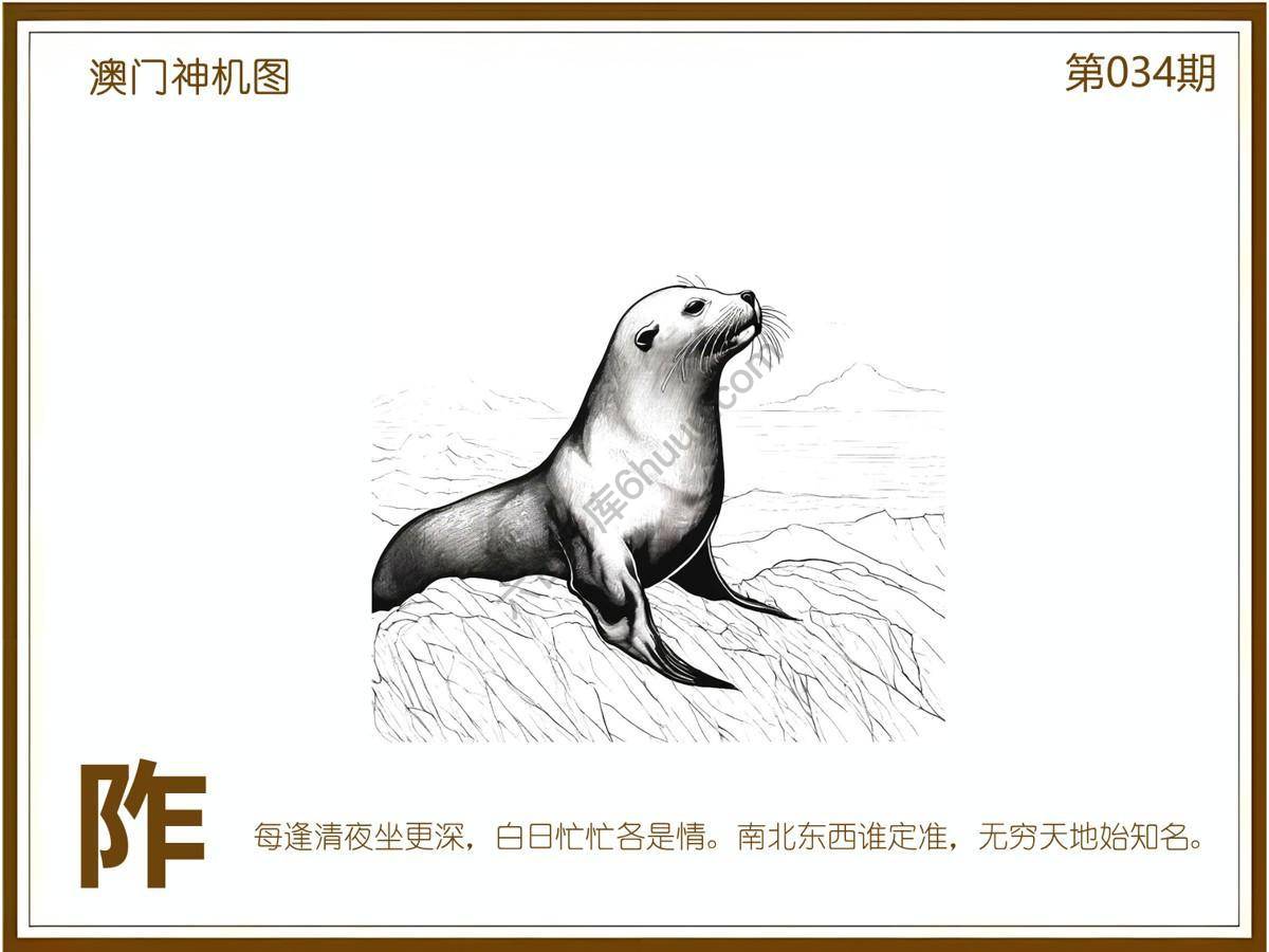 澳门神机图