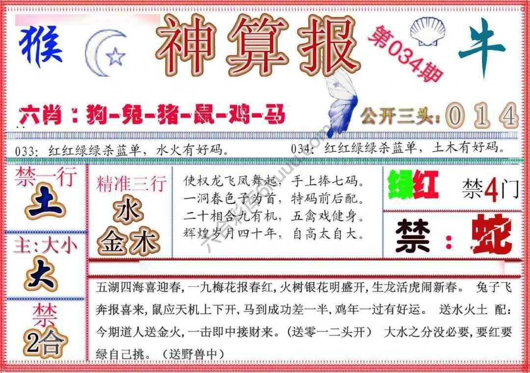 神算报新版