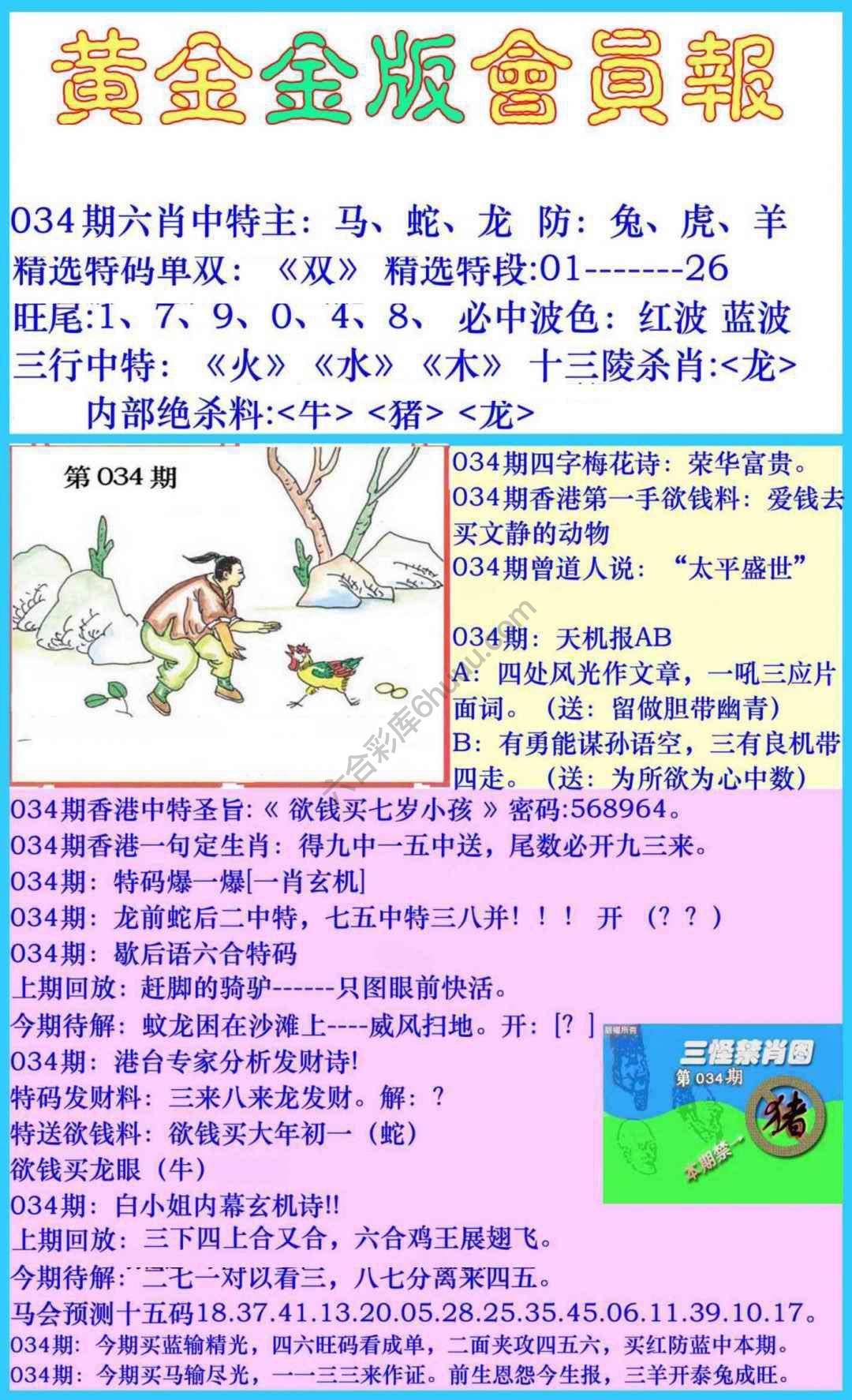 黄金金版会员报