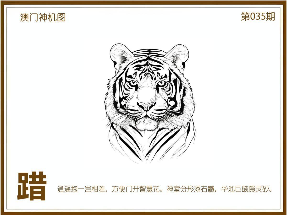 澳门神机图