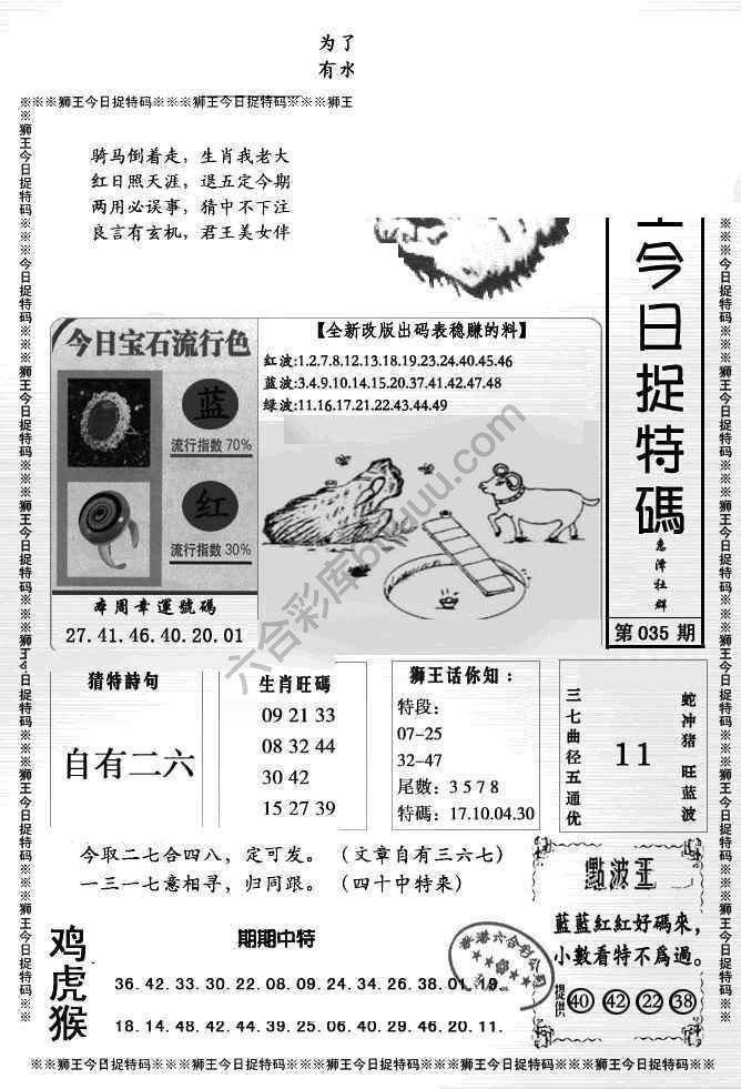 狮王今日抓特码