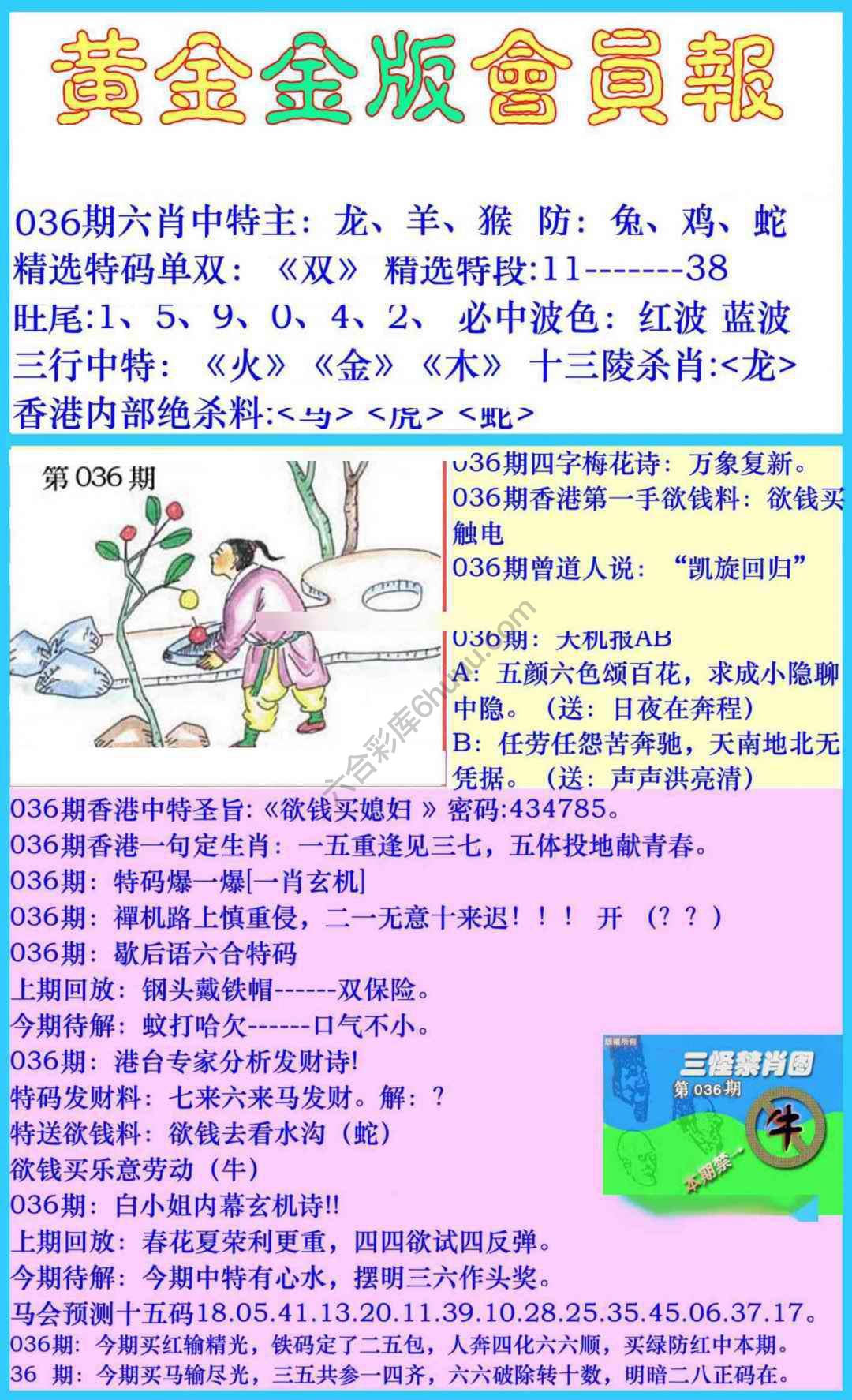 黄金金版会员报