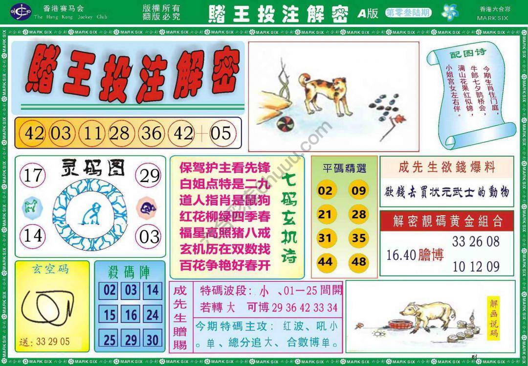 赌王投注解密