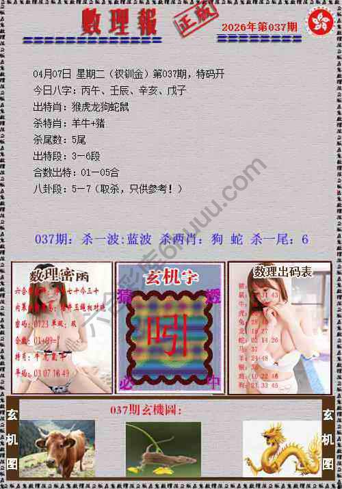 数理报