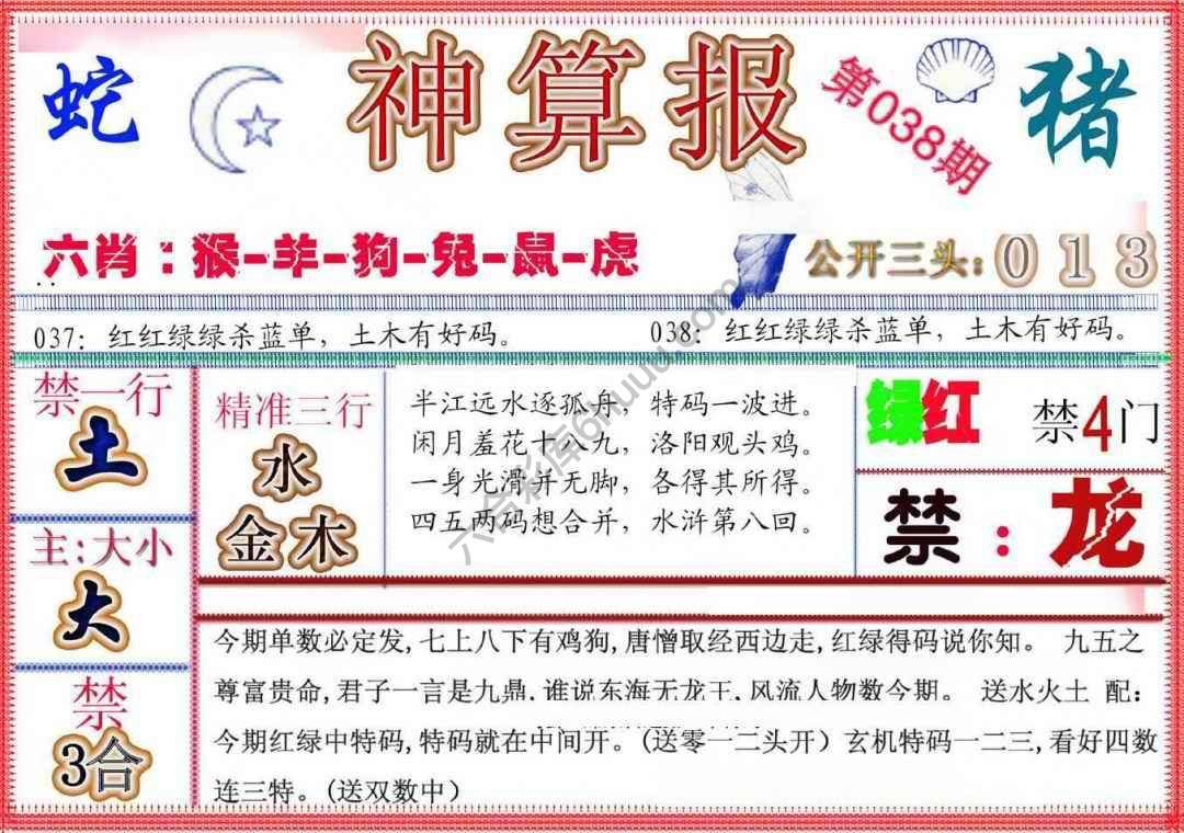 神算报新版