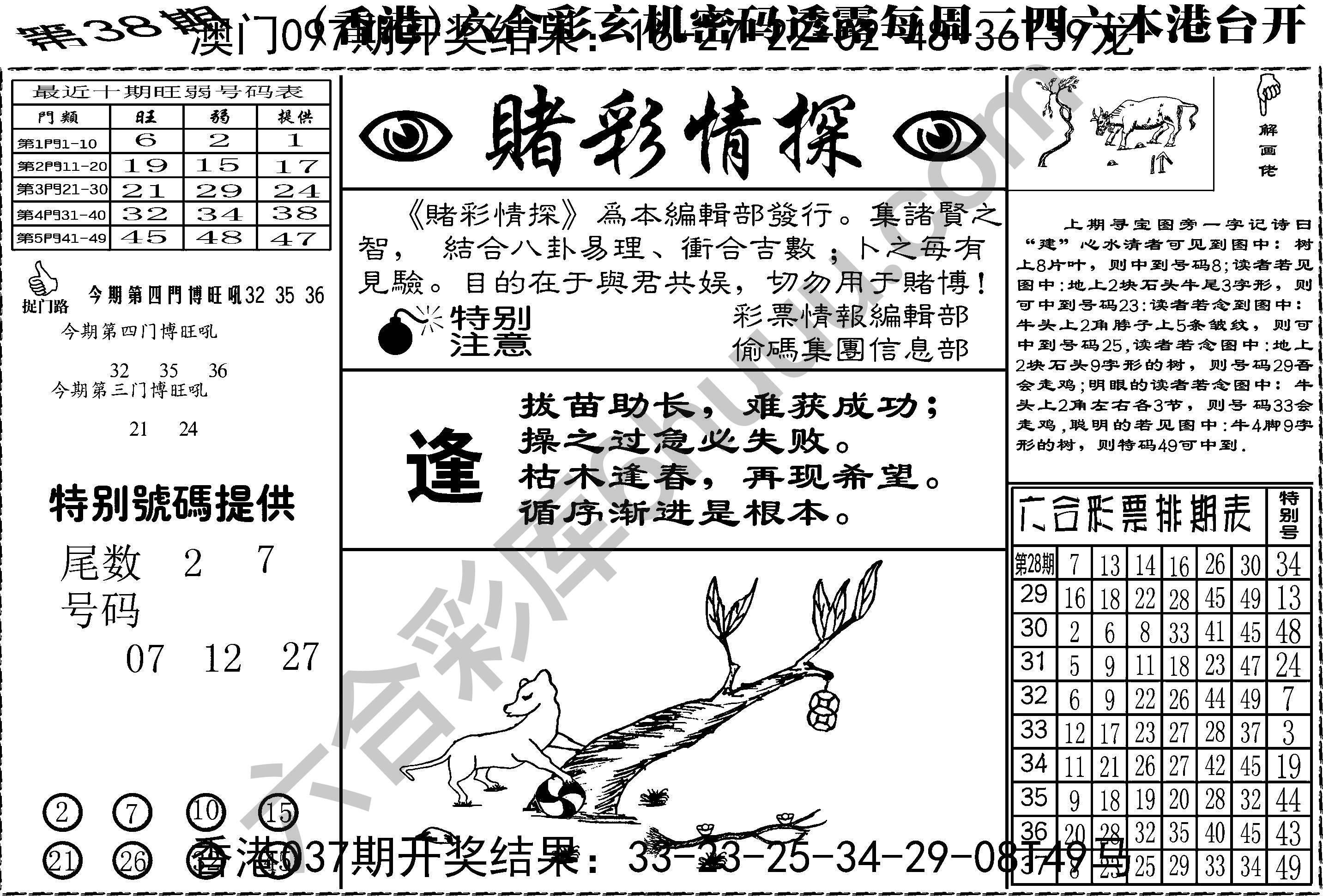 赌彩情探