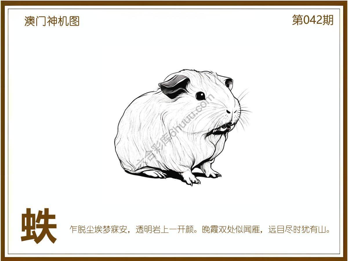 澳门神机图