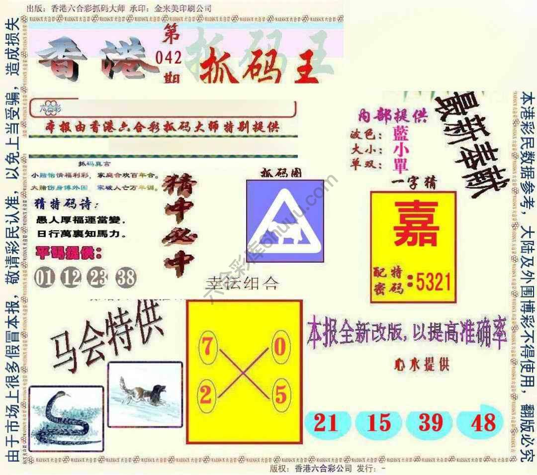 新抓码王