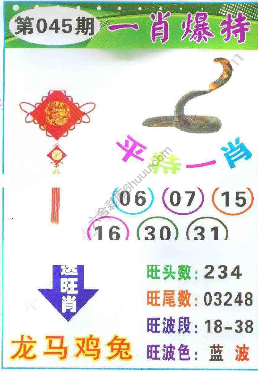 一肖爆特（新版）