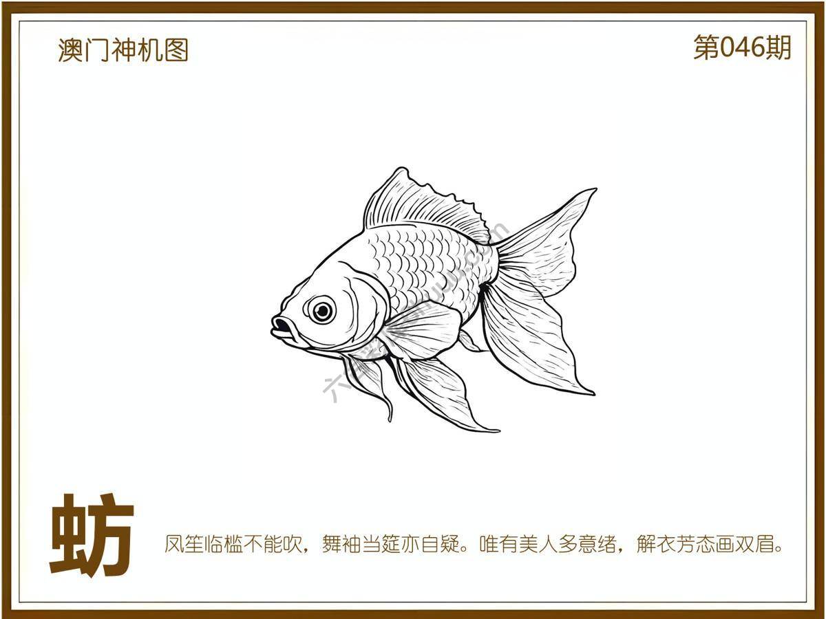 澳门神机图