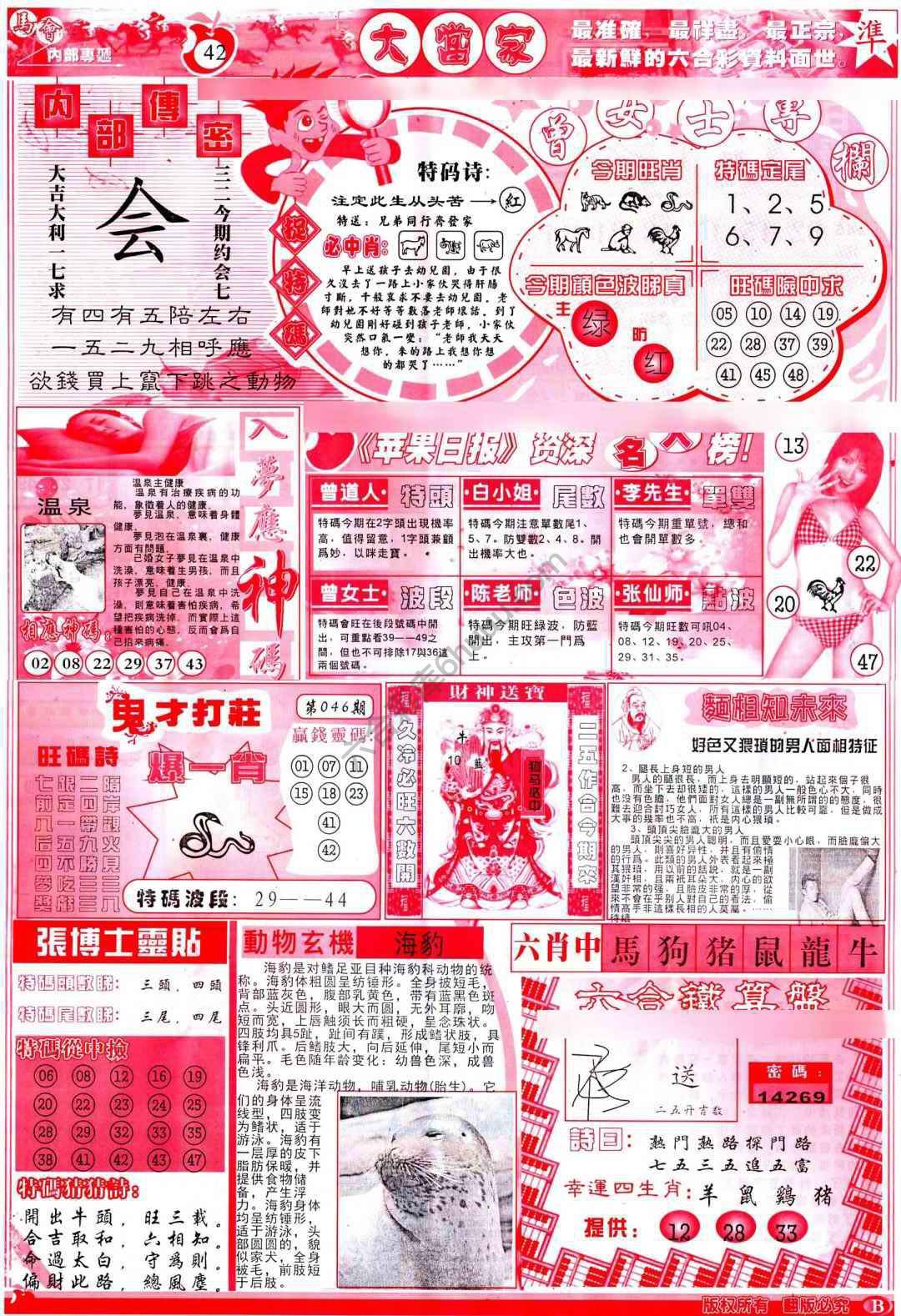 大当家