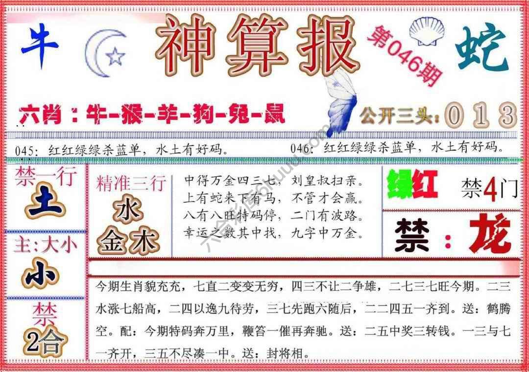 神算报新版