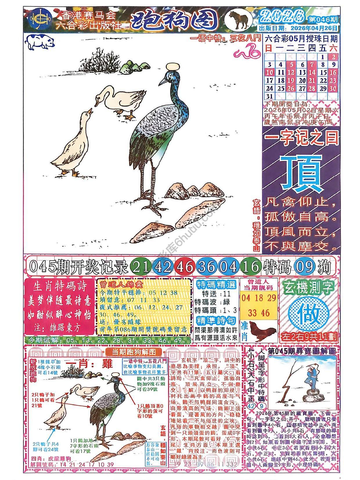 赛马会跑狗图
