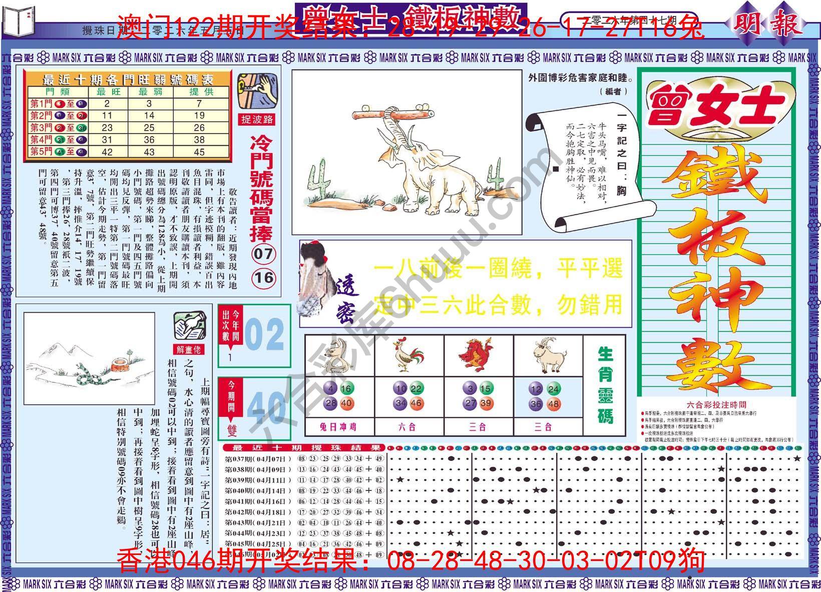曾女士铁板神数
