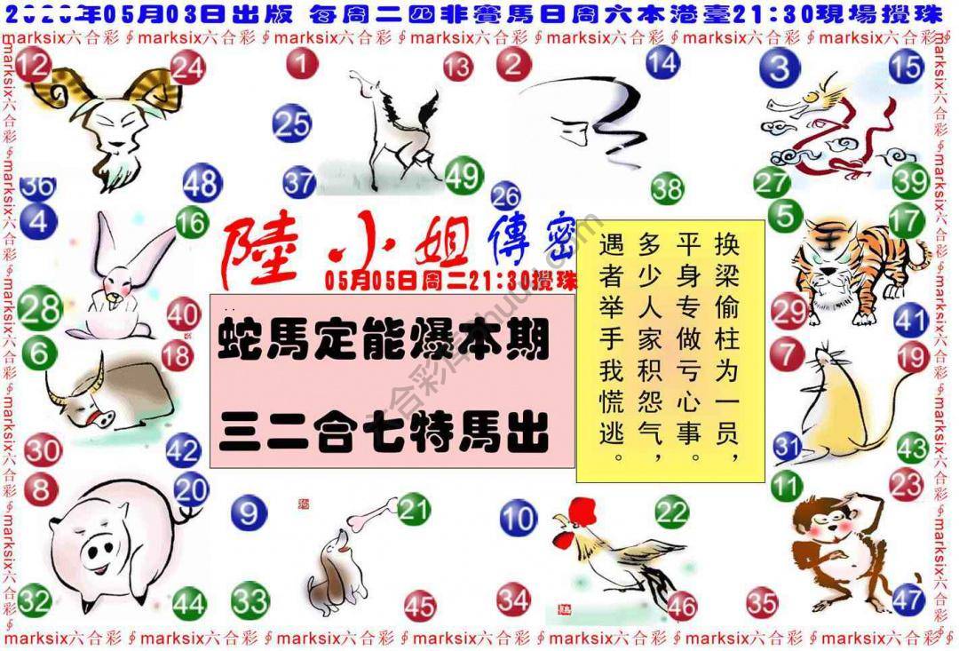 陆小姐传密