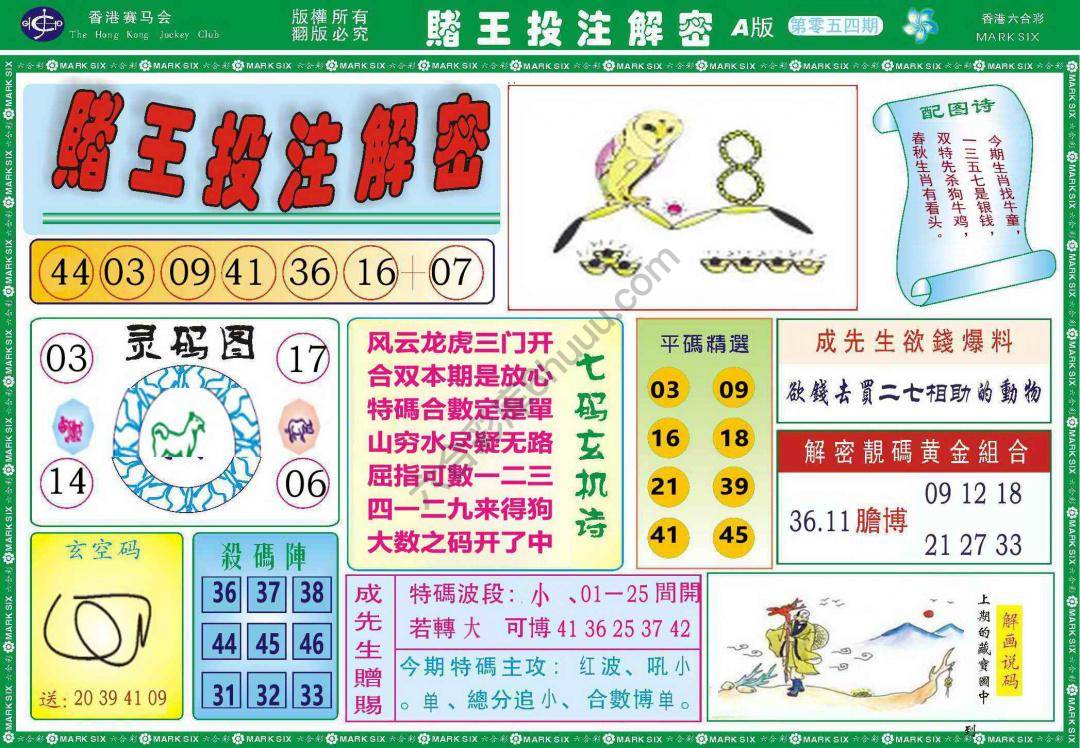 赌王投注解密