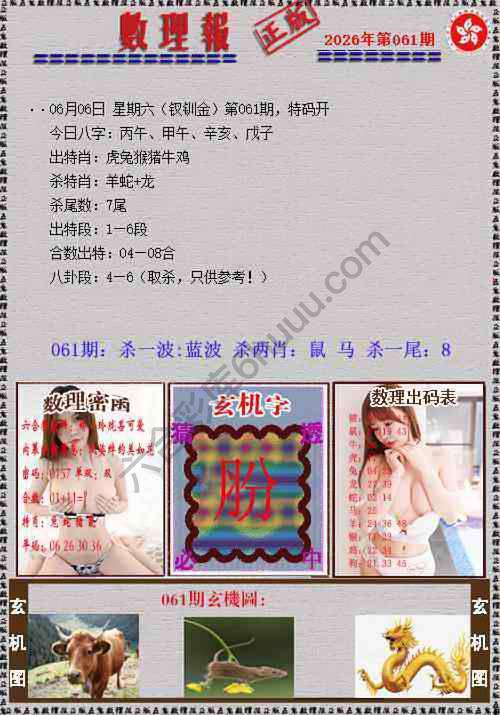 数理报