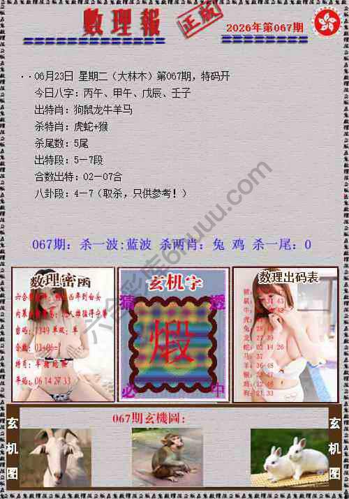 数理报
