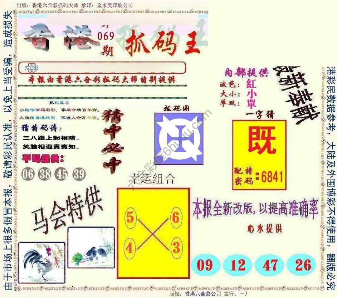 新抓码王