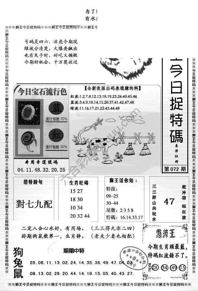 狮王今日抓特码