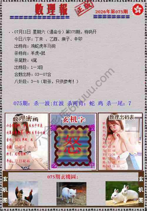 数理报