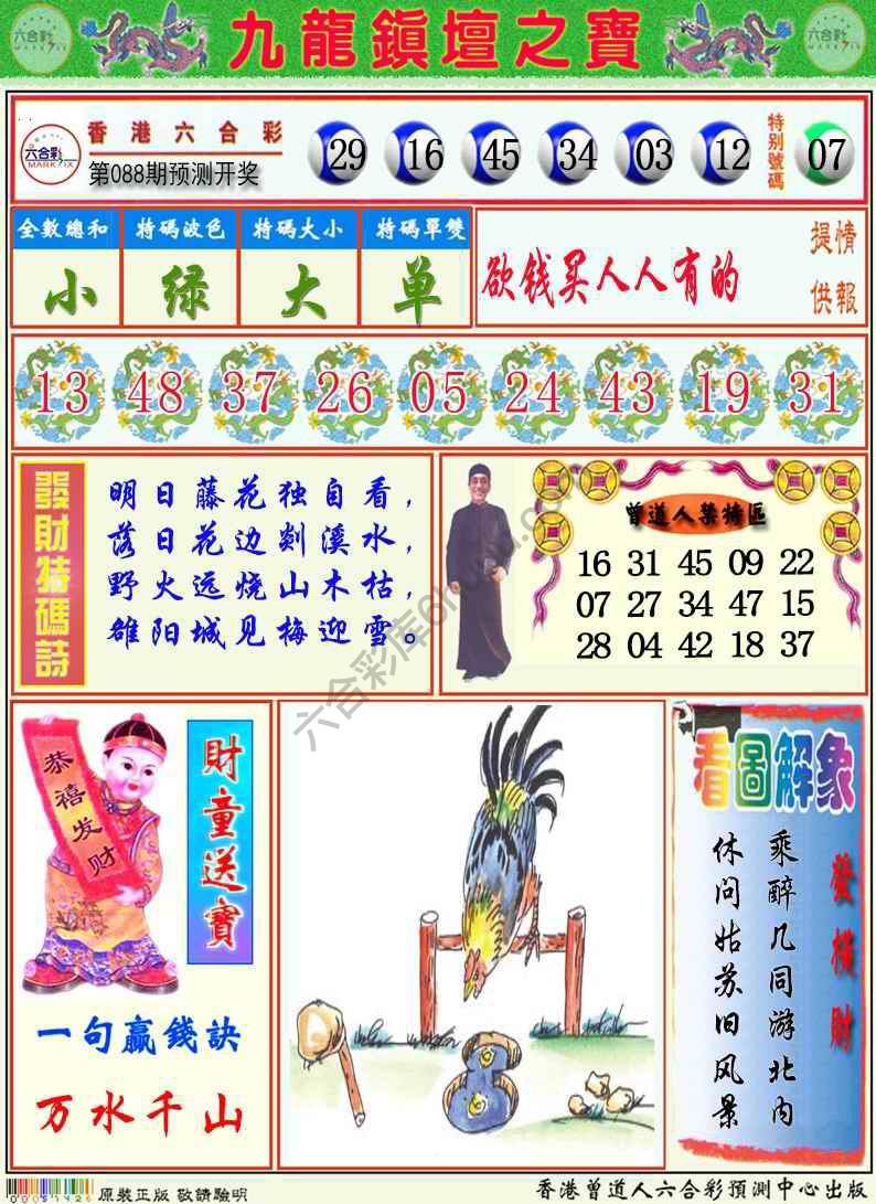 九龙挂牌解特码