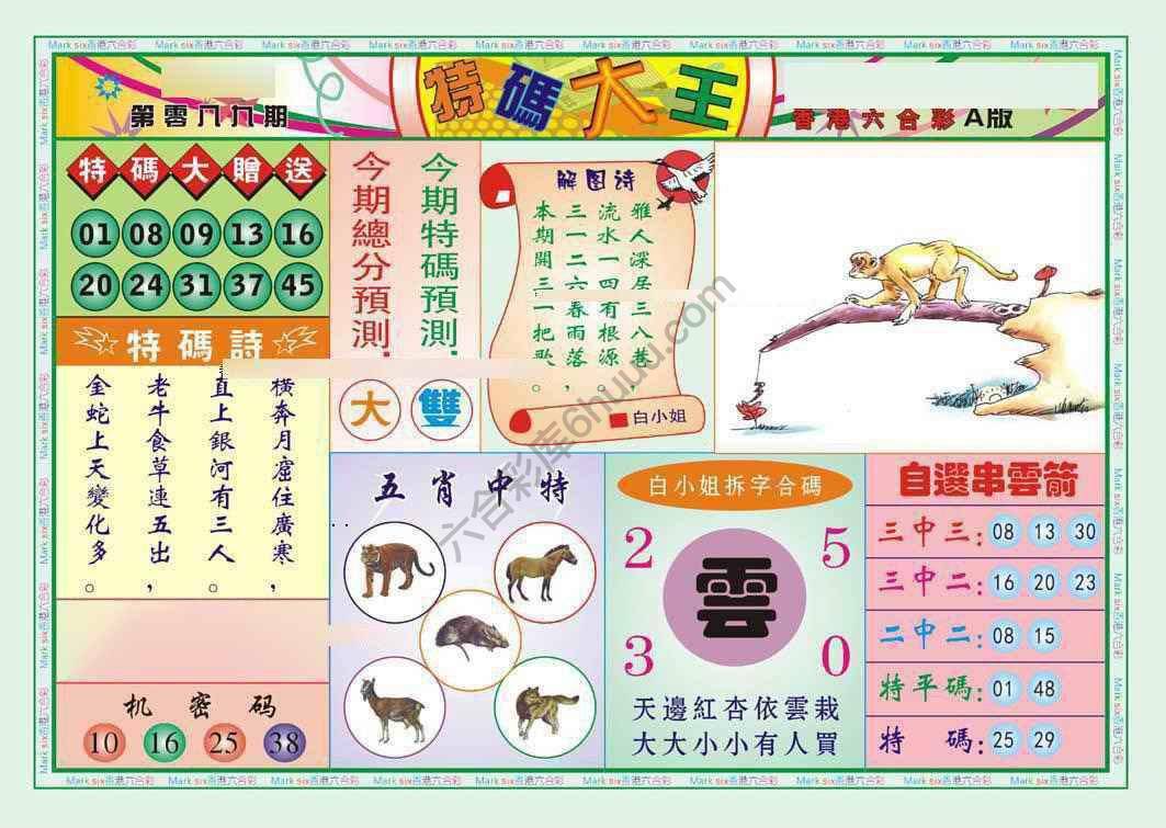 特码大王