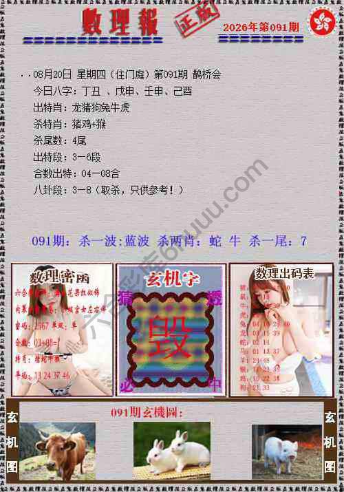 数理报