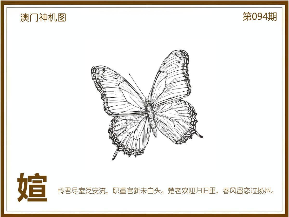 澳门神机图
