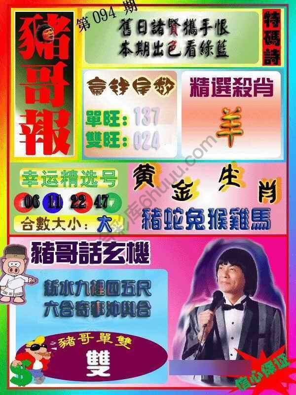 猪哥报