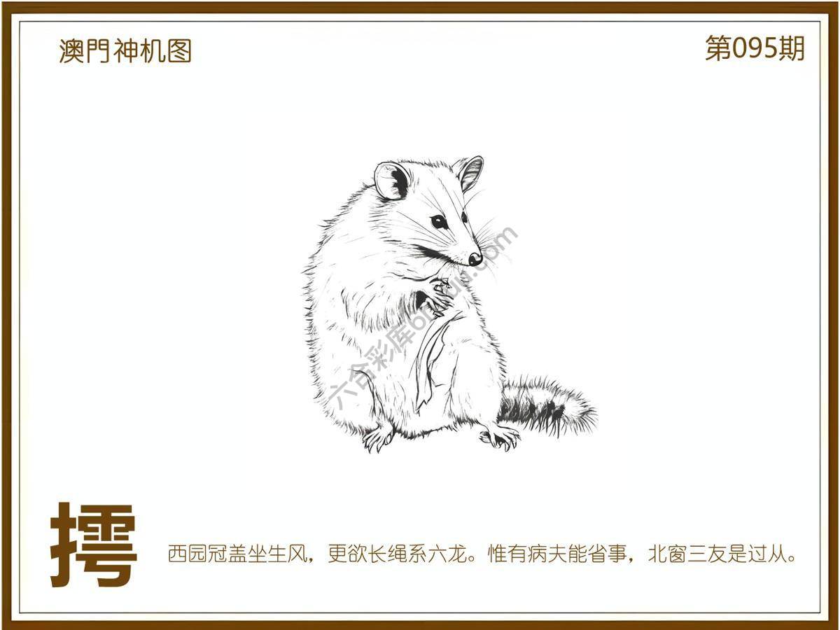 澳门神机图
