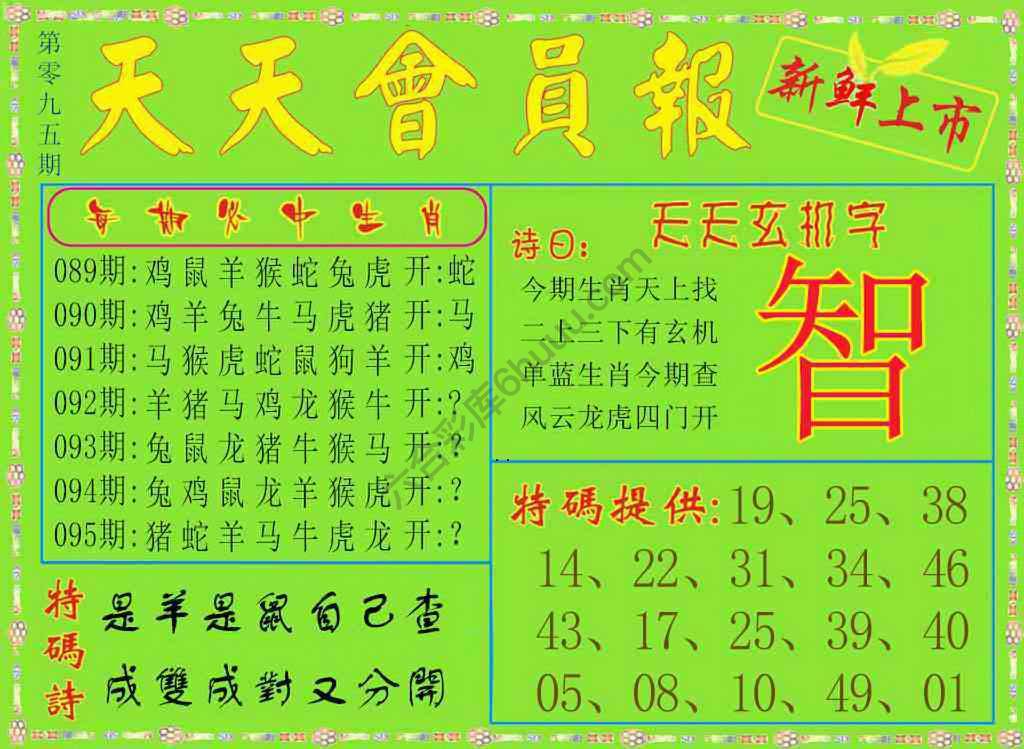 天天会员报