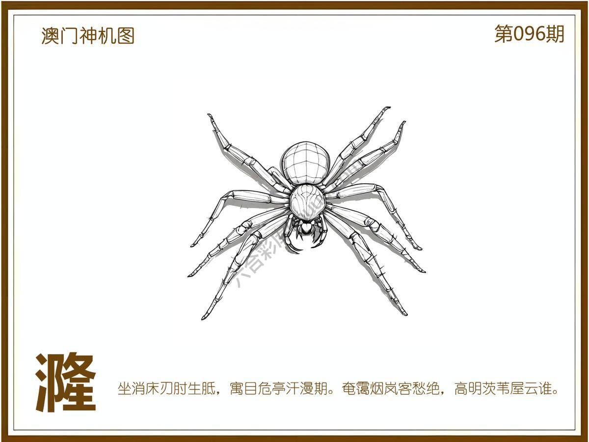 澳门神机图