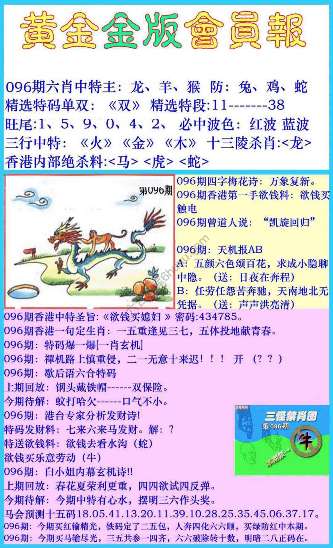 黄金金版会员报