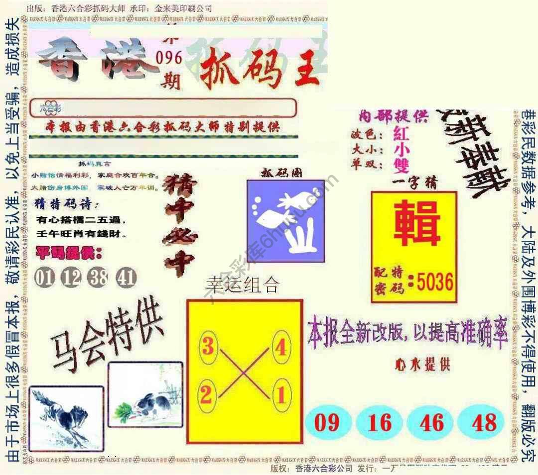 新抓码王