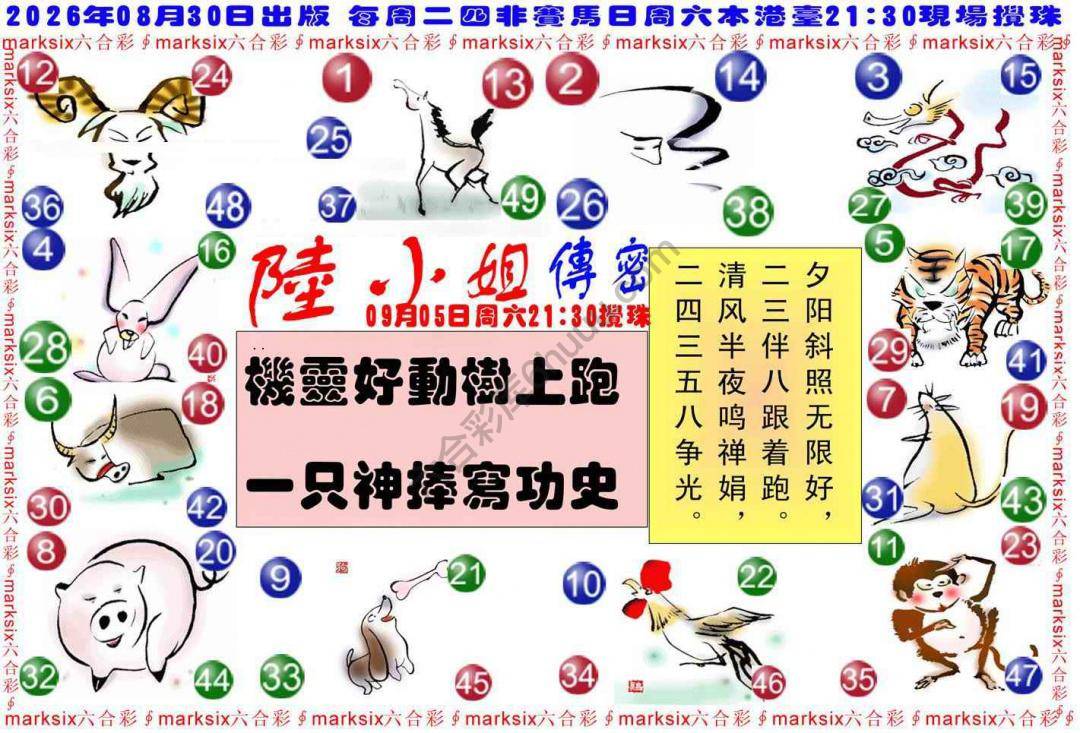 陆小姐传密