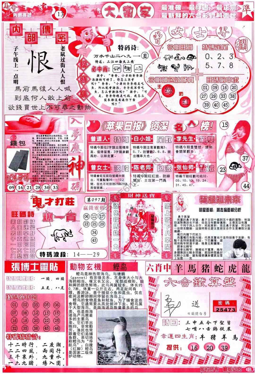 大当家