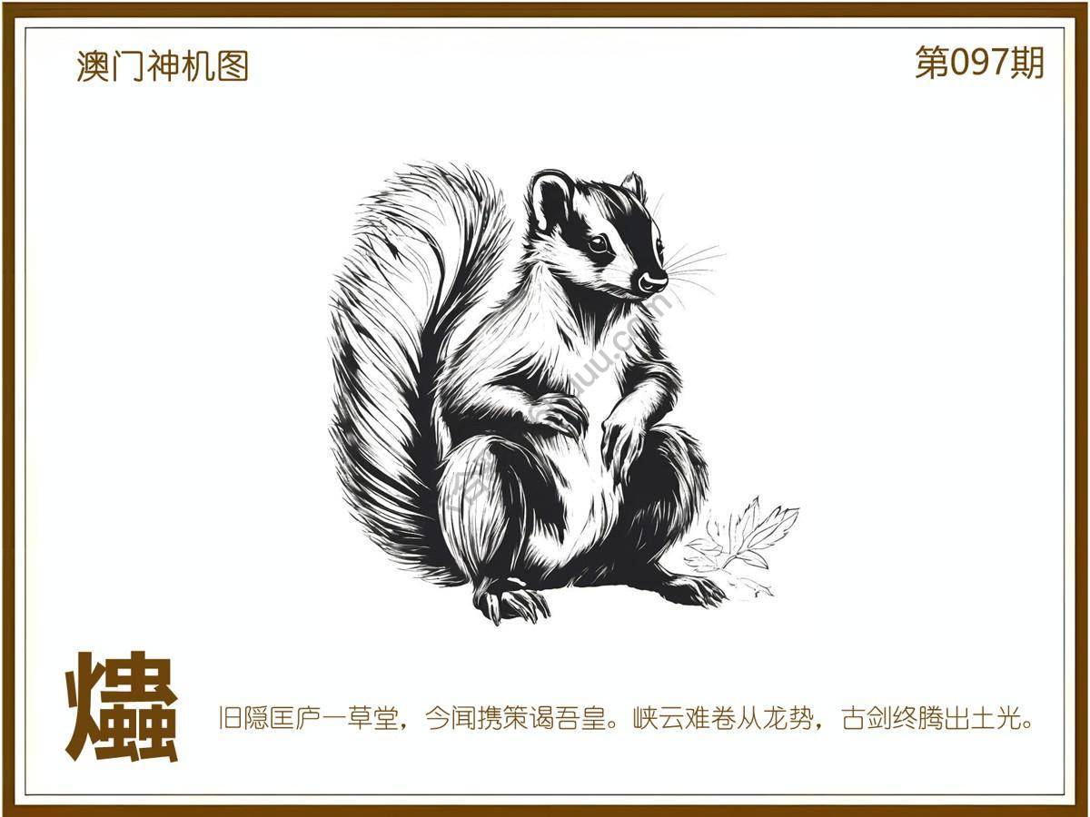 澳门神机图
