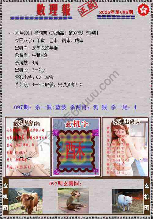 数理报