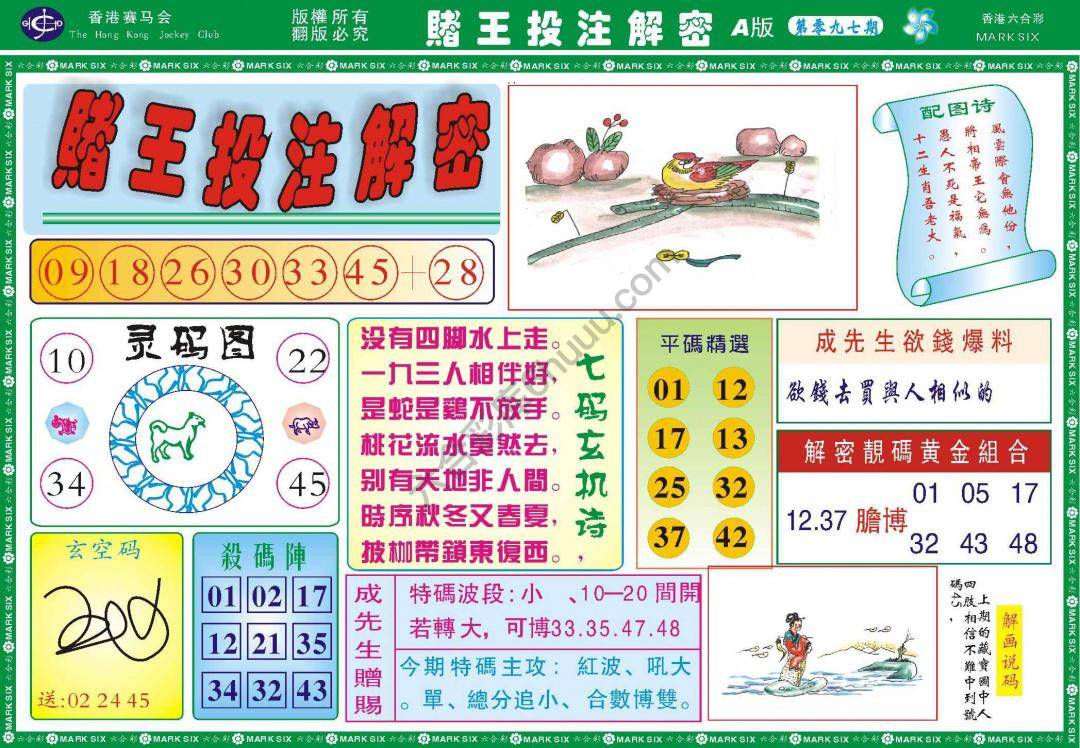 赌王投注解密
