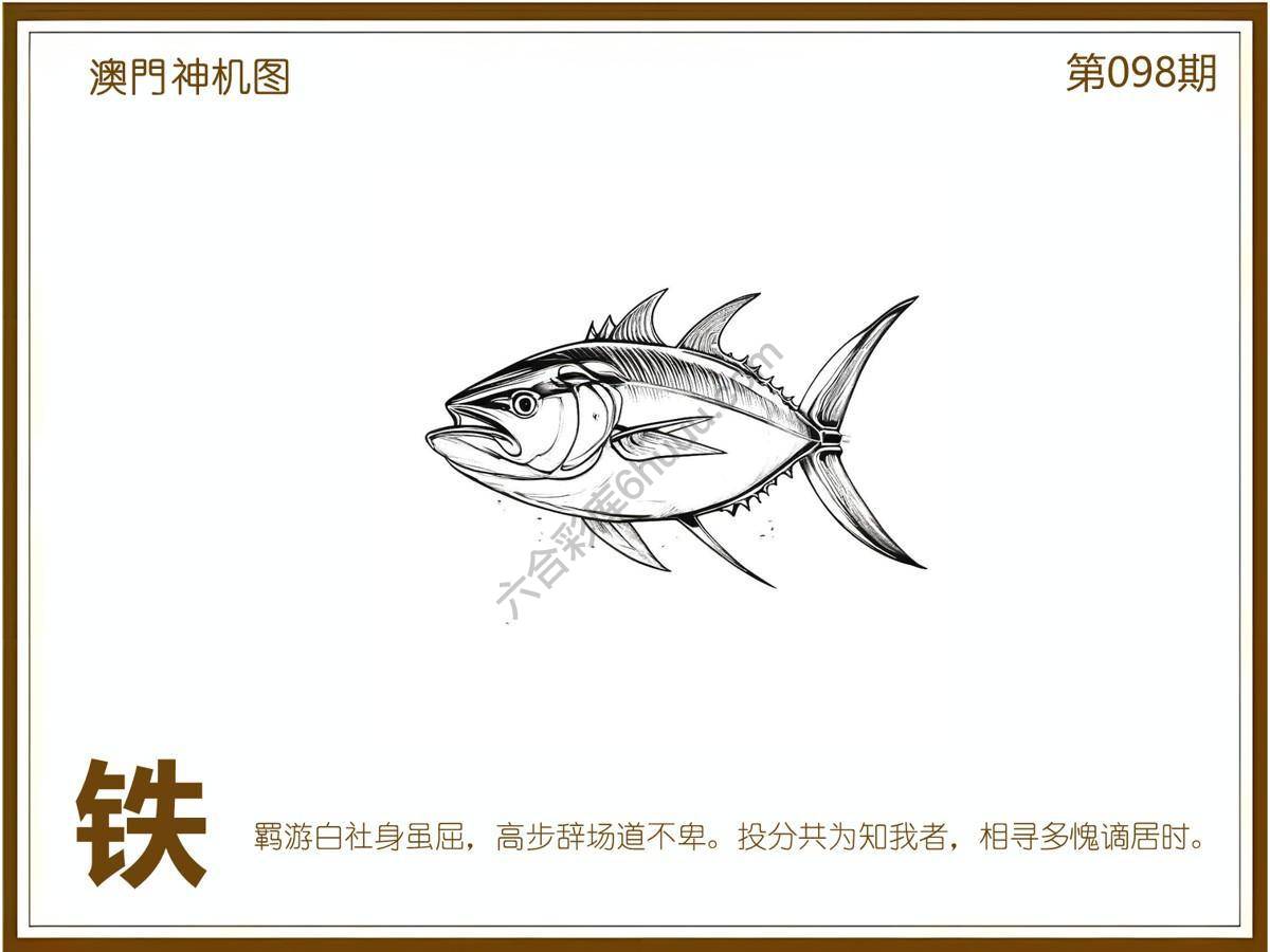 澳门神机图