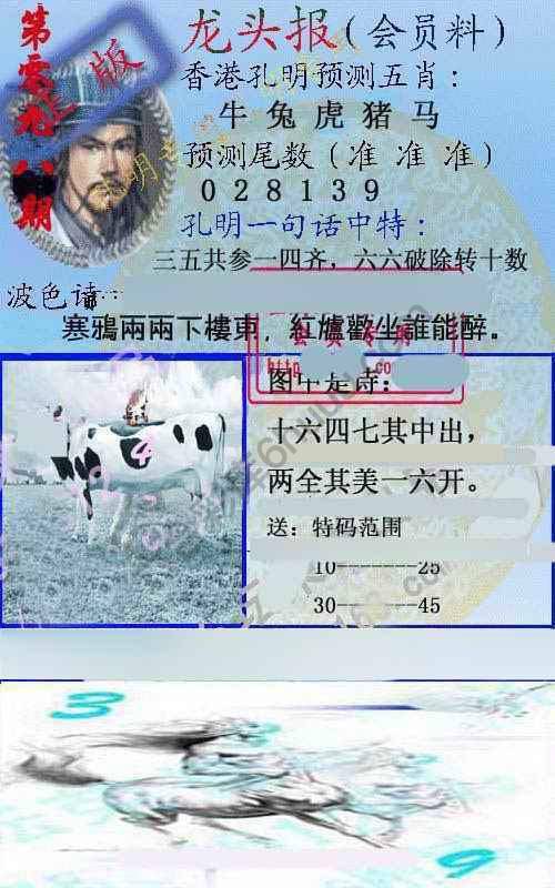龙头报